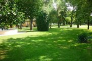 RISTORANTE AL FRASSINO