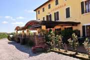 Trattoria Lizzarola